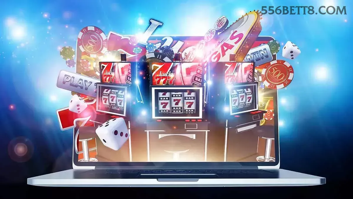 556bet - 2
