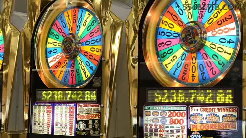556bet - 7