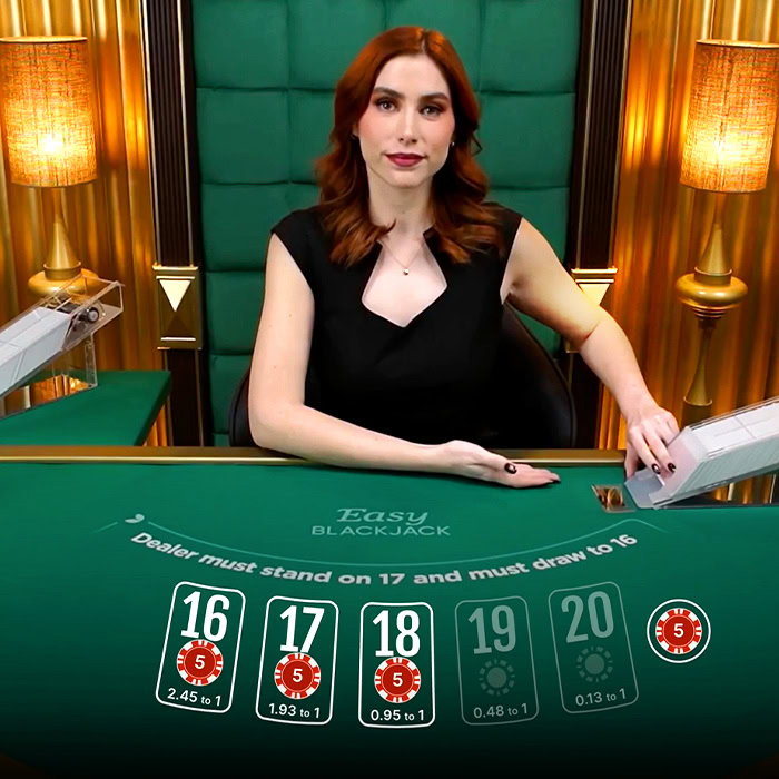 556bet - 9