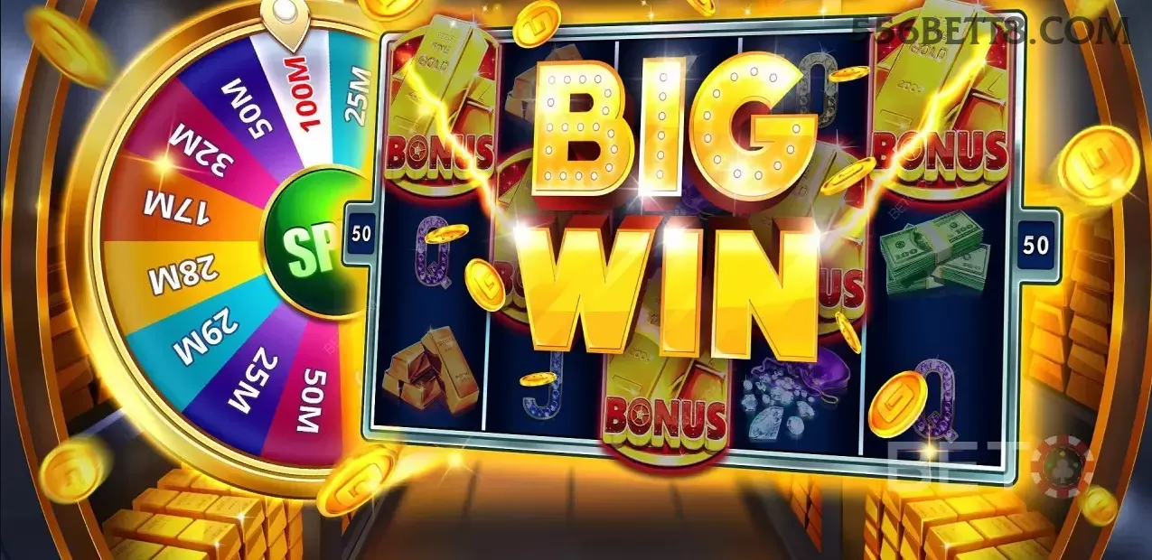 556bet - 4