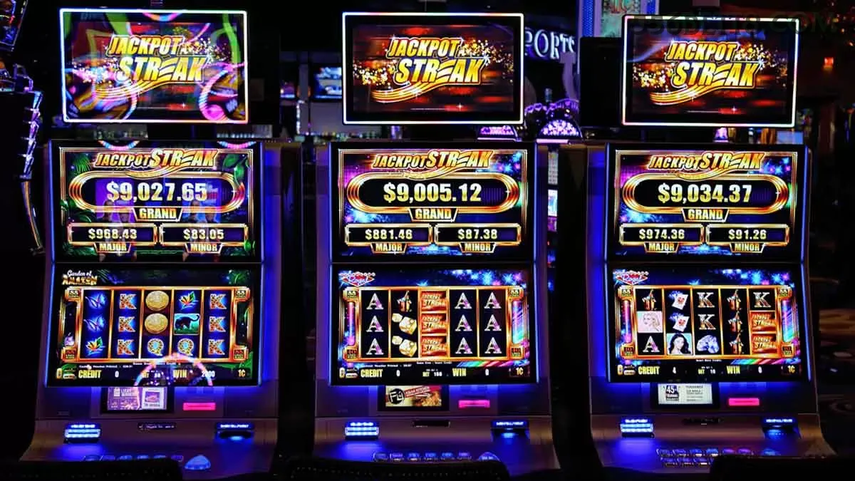556bet - 2