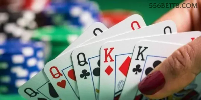 556bet - 4