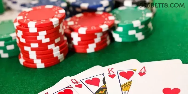 556bet - 4