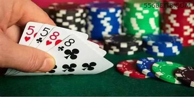 556bet - 5