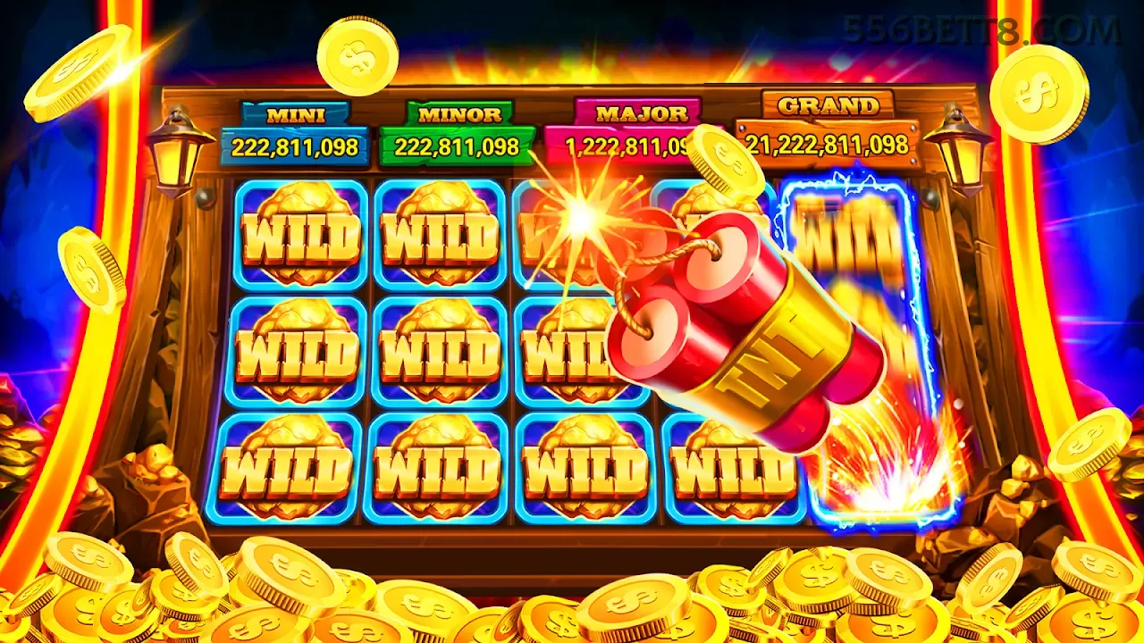 556bet - 4